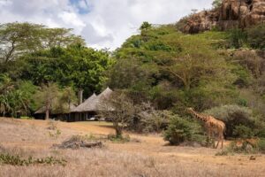 Mount Nimba Strict Nature Reserve: A UNESCO World Heritage Site in Guinea