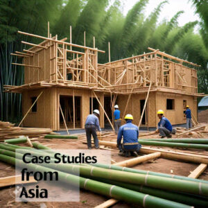The Use of Bamboo in Construction: Case Studies from Asia