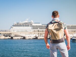 What are cruise ship day tours?