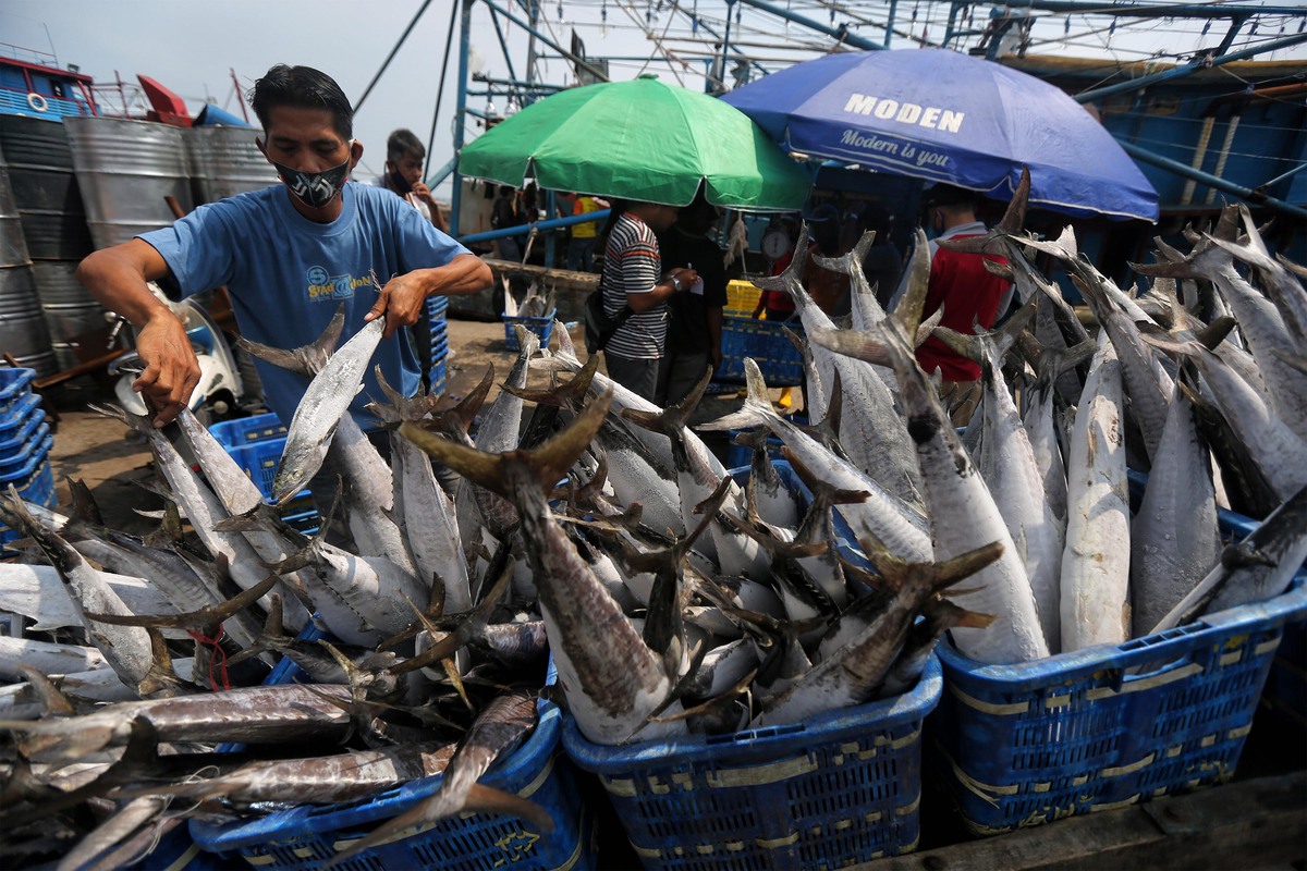 Jepang Butuh Tenaga Kerja Perikanan, RI Siap Kirim